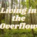 Living in the Overflow